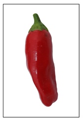 Onza Rojo Pepper