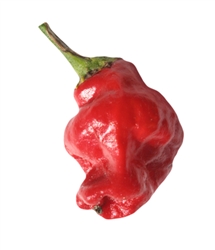 Squash Red Pepper