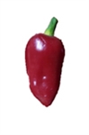 Kardoula Pepper