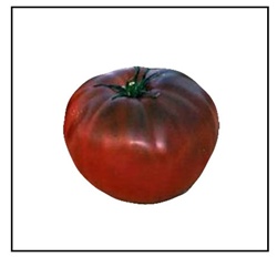 Brandywine Black Heirloom Tomato Plant