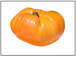 Kentucky Beefsteak Tomato