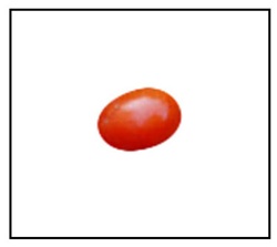 Jelly Bean Red Tomato
