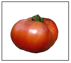 Big Beef Heirloom Tomato