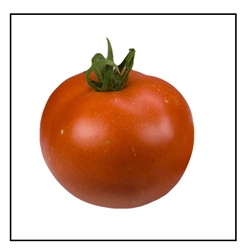 Early Doll Tomato