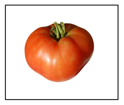 Caro Rich Tomato Plant