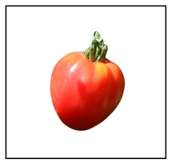 Red Strawberry Tomato