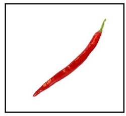 Cayenne Long Red Thin Pepper
