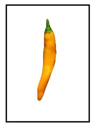 Costeno Amarillo Pepper