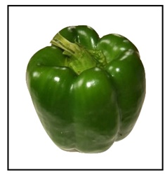 Emerald Giant Bell Pepper Plant