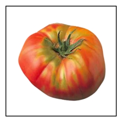 Brandywine OTV Heirloom Tomato