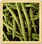 State Half Runner Beans - Light green pods with tender, flavorful taste, non-GMO and heirloom seeds, high-yield and vigorous plants, free shipping available