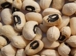 California Blackeye Crowder Pea Seeds â€“ Non-GMO, Heirloom Variety â€“ Close-up image of California Blackeye Crowder pea seeds, displaying their smooth, round shape and light beige color with a dark eye, perfect for planting in home gardens.