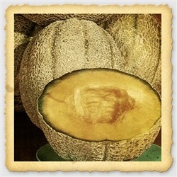 Hales Best Cantaloupe Seed