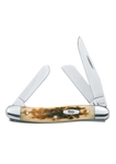 Case Pocket Knife 00042 (6318 SS)