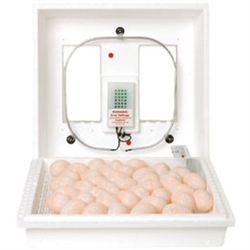 Little Giant Incubator #9200
