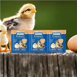 Sav-A-Chick Probiotic Supplement 3 Packets â€“ Poultry Digestive Health and Stress Recovery â€“ Mix with Drinking Water