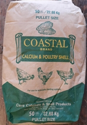 Coastal Oyster Shell