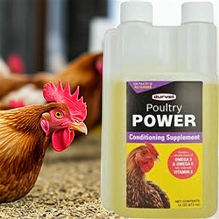 Durvet Poultry Power 16 oz â€“ Omega 3 & 6 Vitamin E Poultry Supplement for Feather Shine and Egg Health