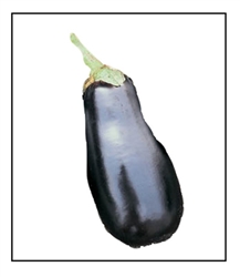 Eggplant Classic