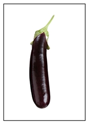 Eggplant Hansel