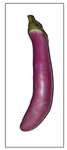 Eggplant Ping Tung Long