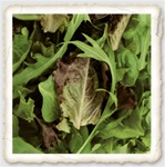 Close-up of braising mix greens â€“ Hon Tsai Tai, Red Russian kale, mustard, Tatsoi, and Komatsuna