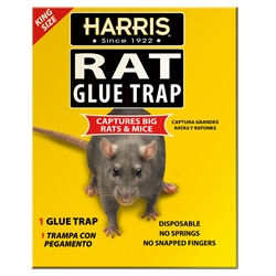Harris King Size Rat Traps