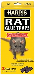 Harris Rat Glue Traps 2 Pack – extra-large, non-toxic adhesive traps for indoor rat control.