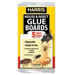 Five Harris Mouse & Insect Glue Boards displayed in a fan layout
