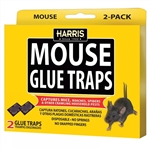 Harris Mouse Glue Traps 2 Pack â€“ non-toxic, highly adhesive traps for indoor mouse control