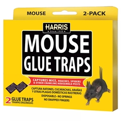 Harris Mouse Glue Traps 2 Pack â€“ non-toxic, highly adhesive traps for indoor mouse control