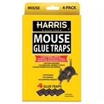 Harris Mouse Glue Traps
