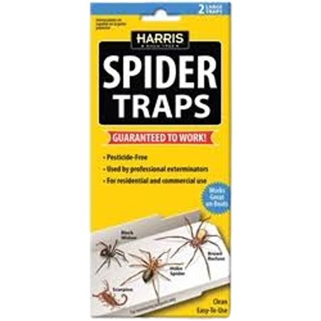 "Harris Spider Traps - Effective, Non-Toxic Spider Detection and Control, Safe for Children and Pets, Available Online at Piedmont Farm and Garden Spartanburg SC