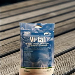 Ideal Vi-tal Vitamin Supplement 6 oz. pack for livestock and poultry