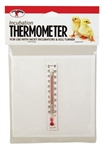 Mercury-free incubator thermometer with clear Mylar backing for egg incubation