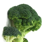 Southern Comet Broccoli Plants