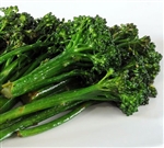 Aspabroc Baby Broccoli Plant