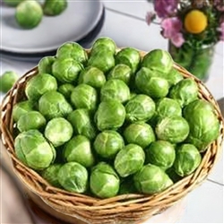 Basket of freshly harvested Long Island Brussels Sprouts sitting on an old white wooden table.