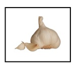 California Garlic Sets:Bulbs