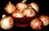 Freshly harvested Texas 1015Y onions with golden skin and white flesh, known for their sweet flavor.