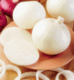 Superstar Onion Plants