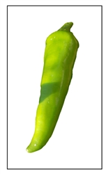 Chili Numex Pepper