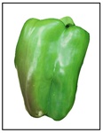 Chinese Giant Bell Pepper Plant