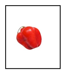 Manzano Red Pepper
