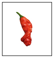 Peter Red Pepper