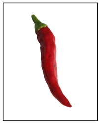 <SPAN style="FONT-FAMILY: Arial Black; COLOR: #004500; FONT-SIZE: 14pt">Red Hot Chili</SPAN>