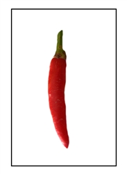 Rooster Spur Pepper