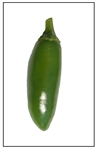 Serrano Chili Pepper