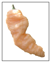 Bhut Jolokia Peach Ghost Pepper