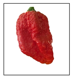 Naga Brain Red Pepper